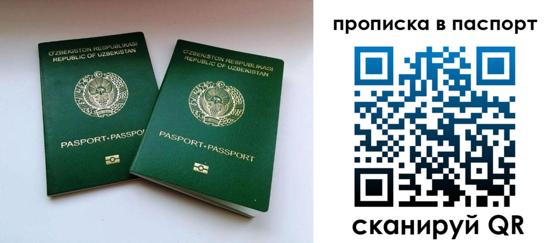временная регистрация в Ермолино